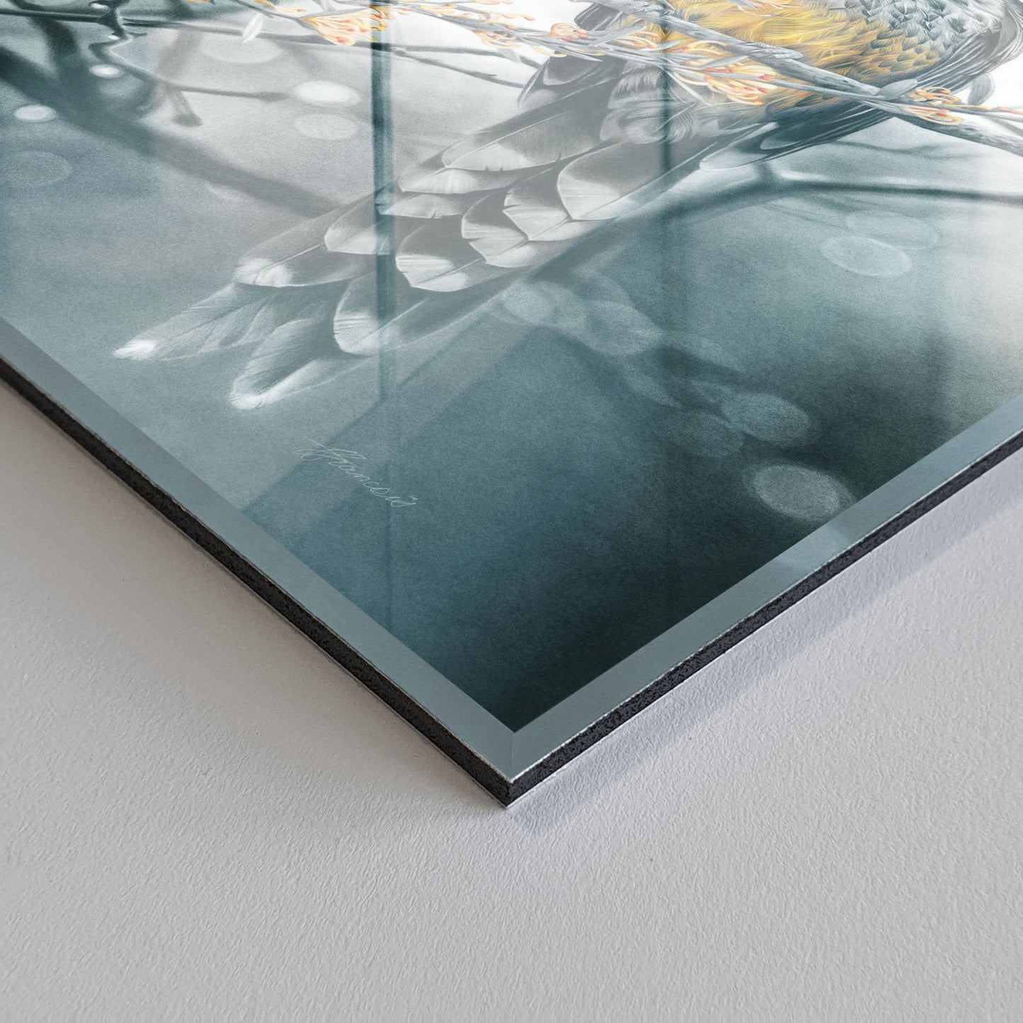 'Yellow Wattlebird' acrylic print