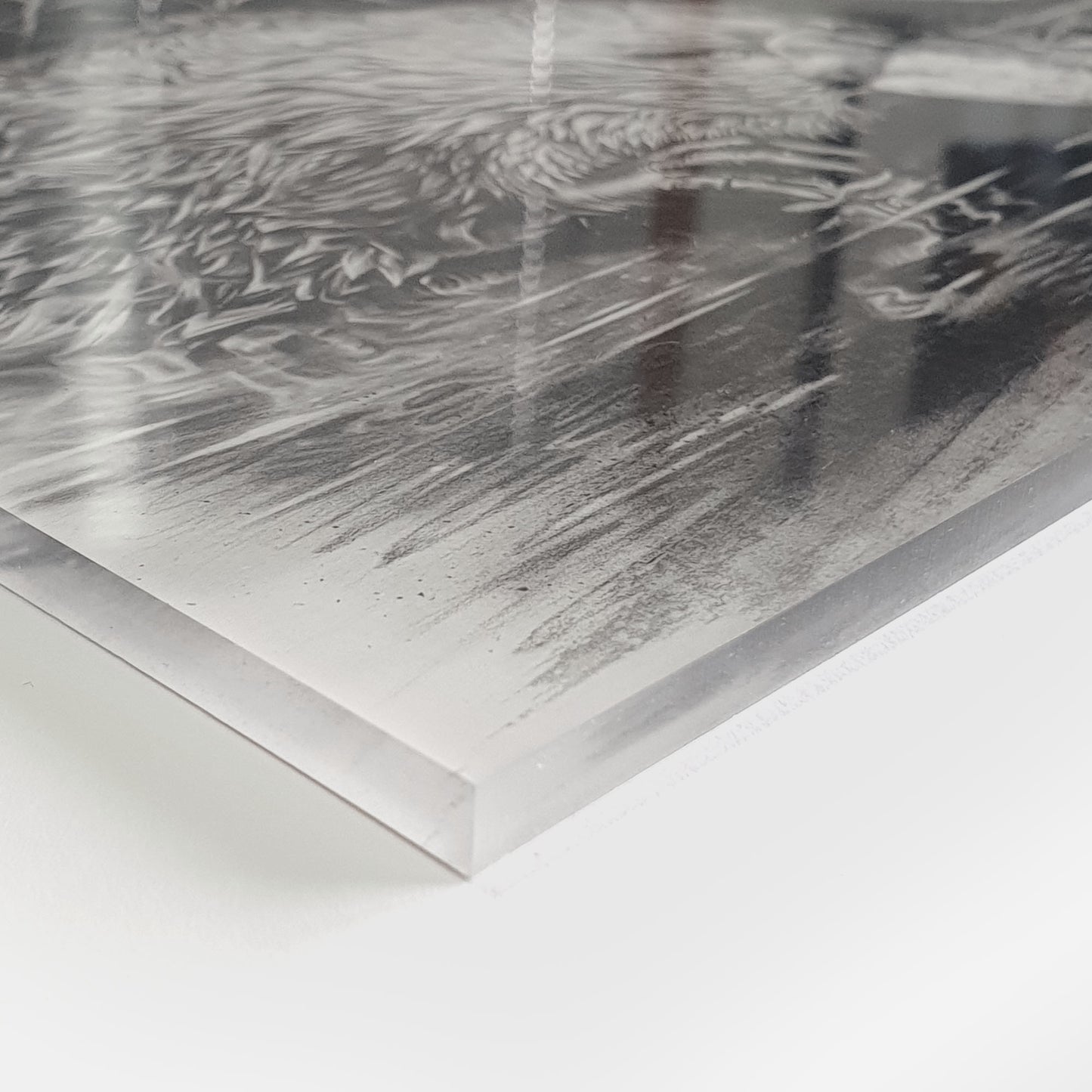 'Platypus' acrylic print