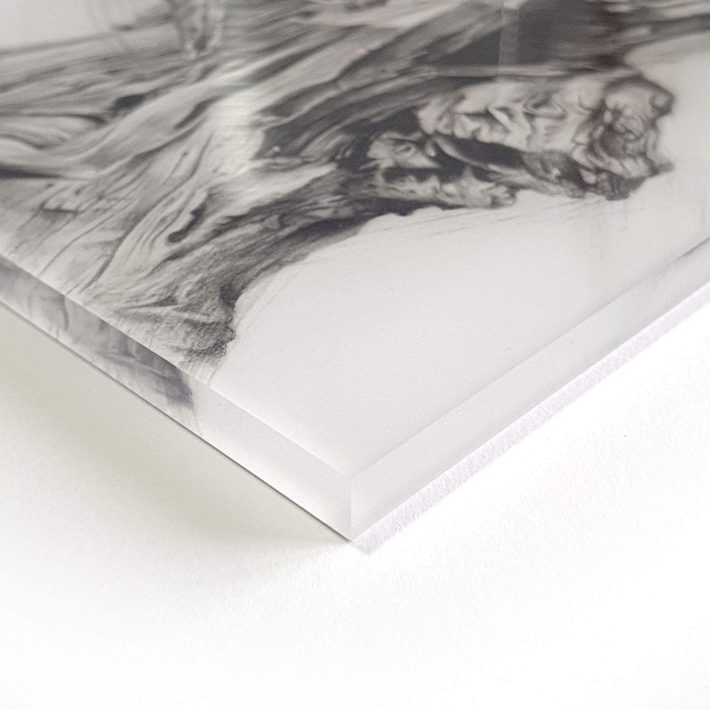 'Tawny Frogmouth Trio' acrylic print