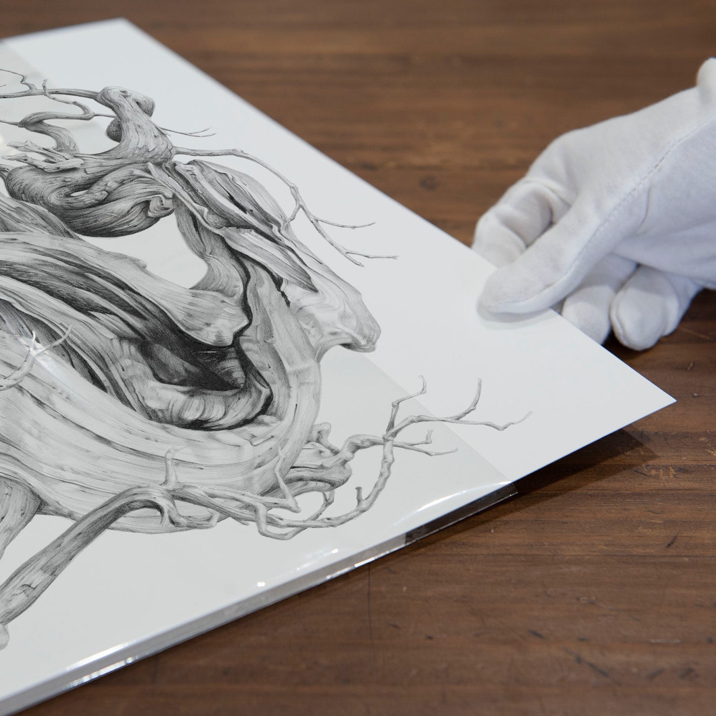 'Contemplation' art print