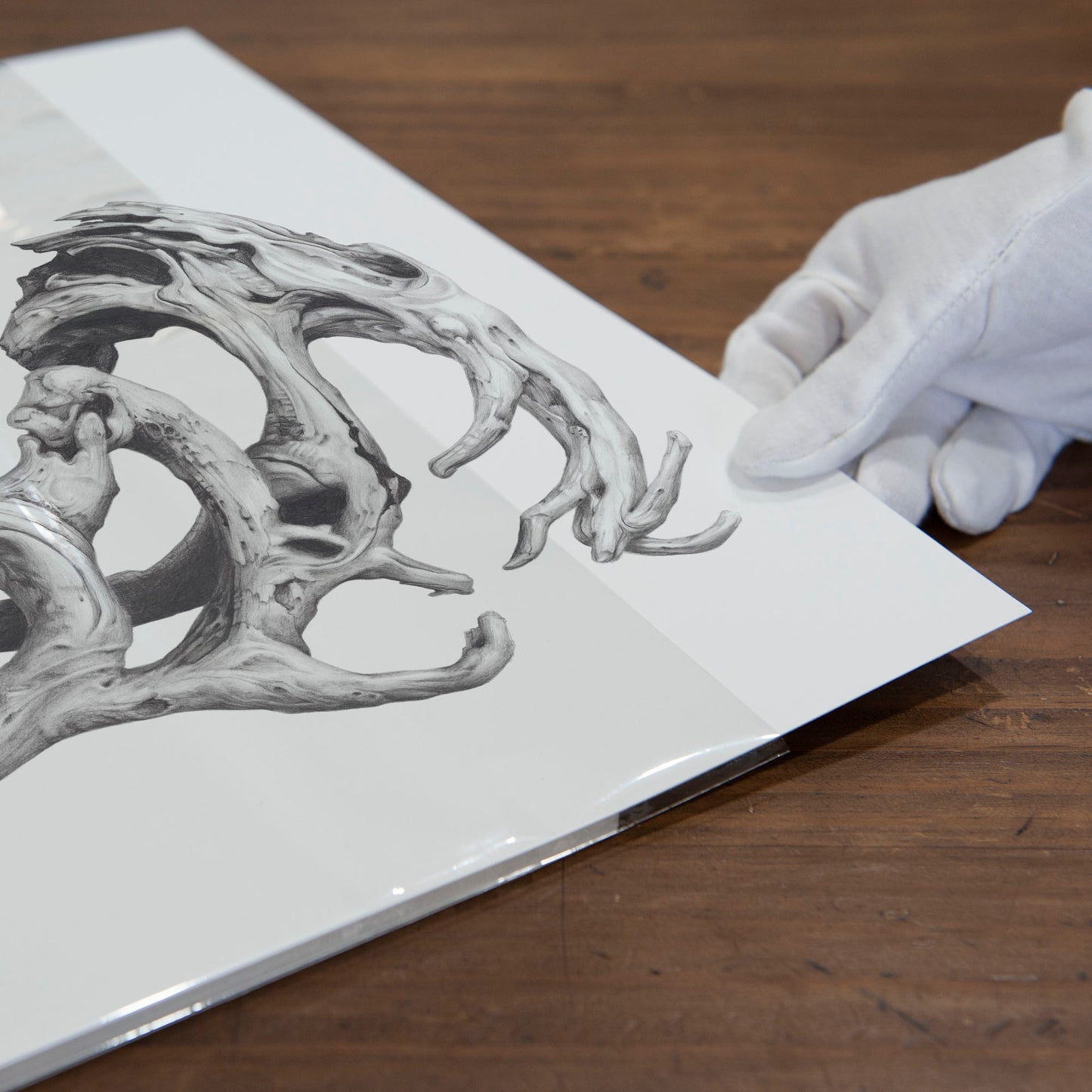 'Driftwood Souls 2' art print