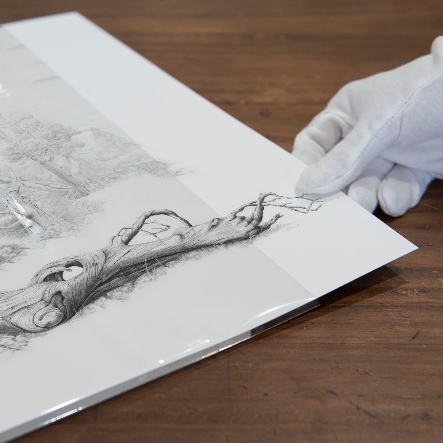 'The Fallen' art print