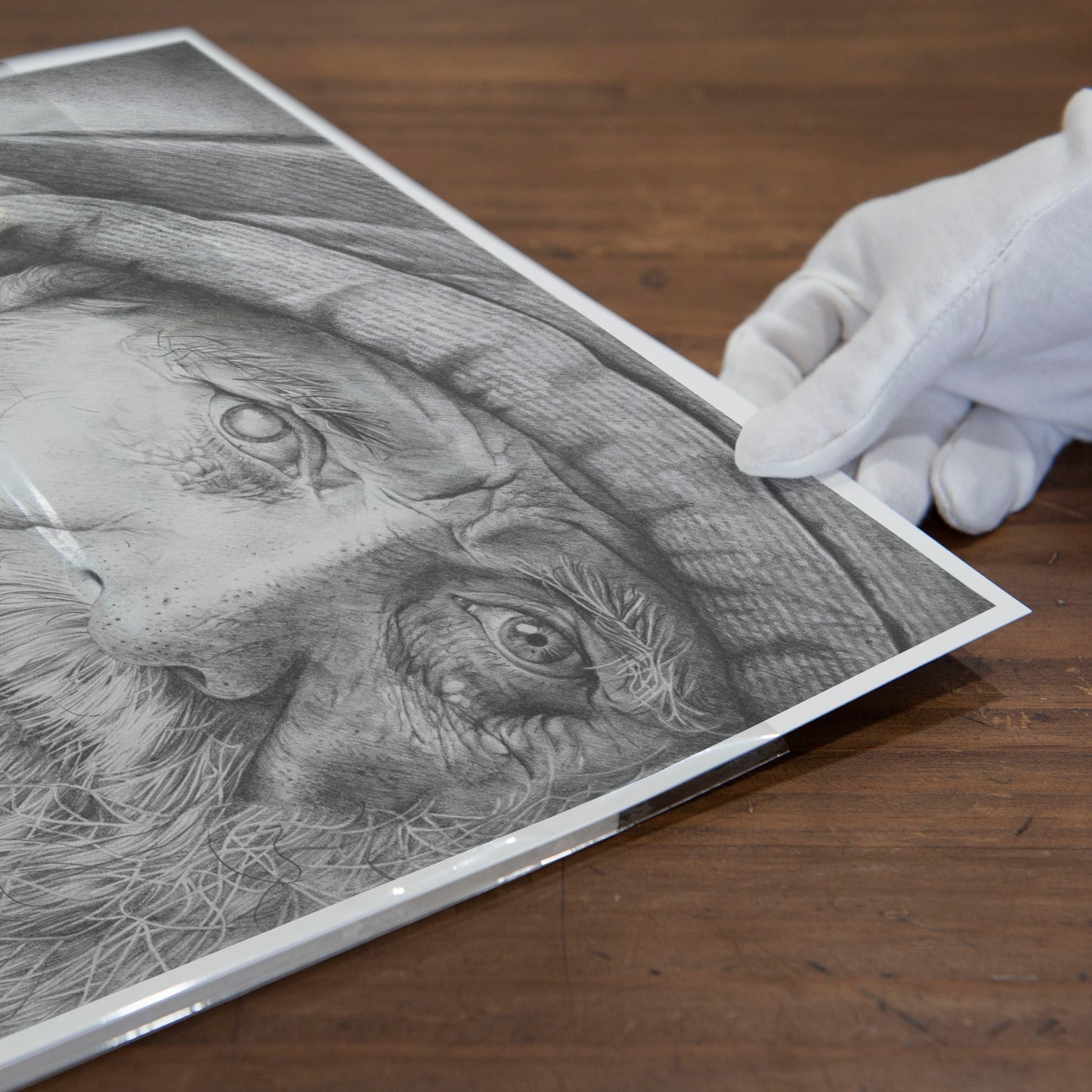 'Merlin' art print