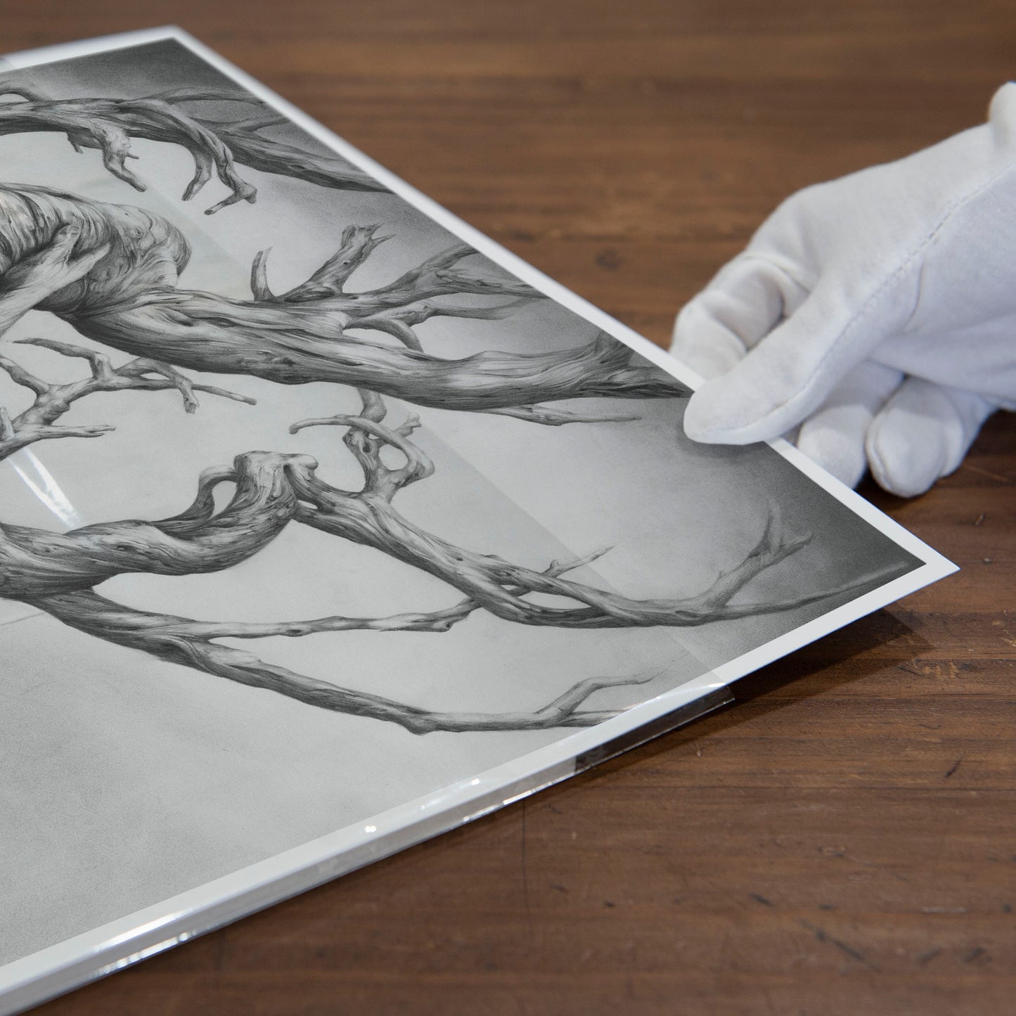 'One Tree' art print