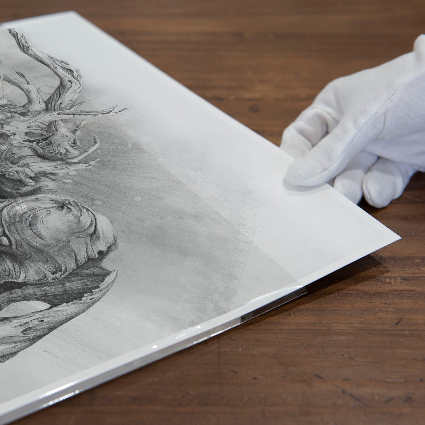 'Skin Deep'- greyscale art print