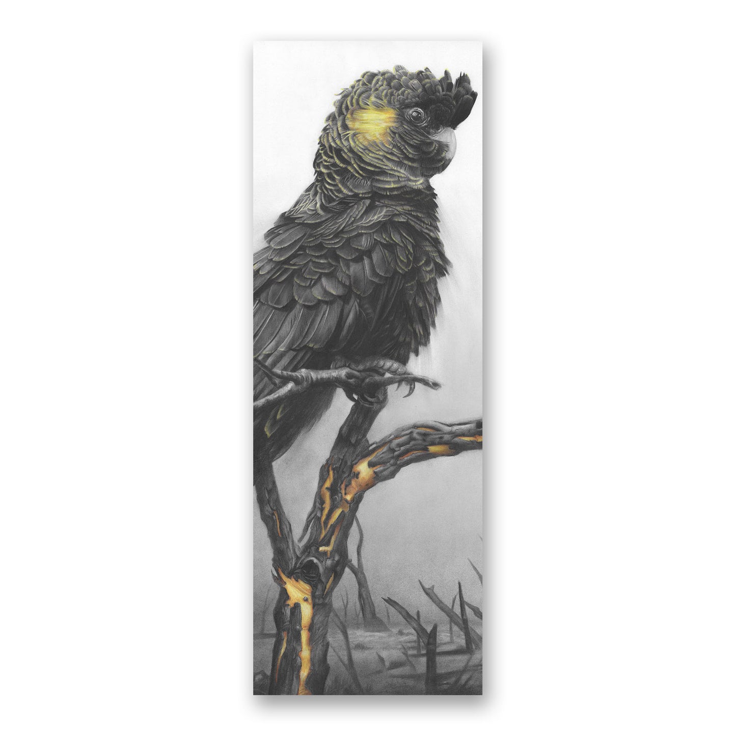 'Black Cockatoo' bookmark
