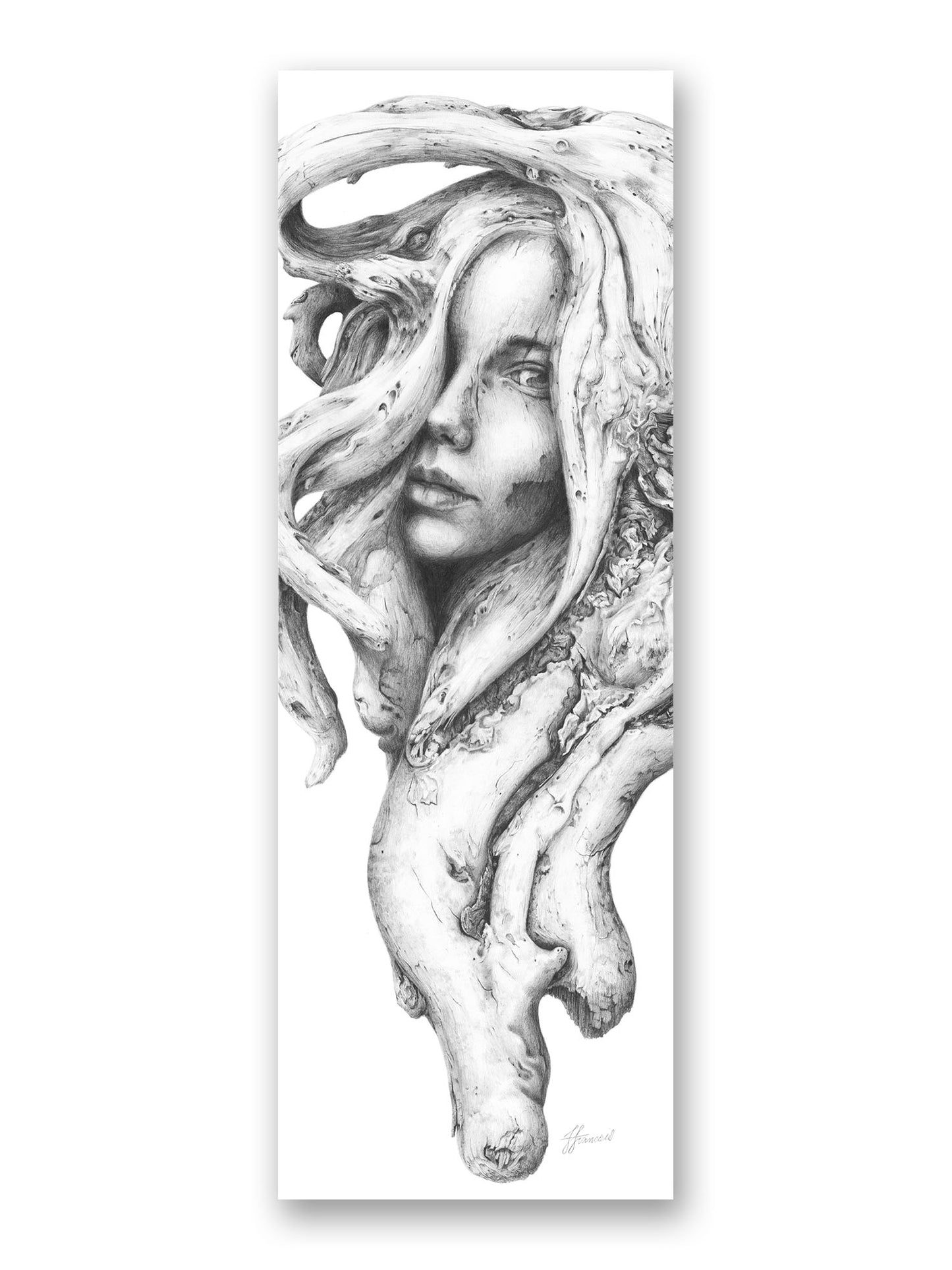 'Driftwood Souls 1' bookmark