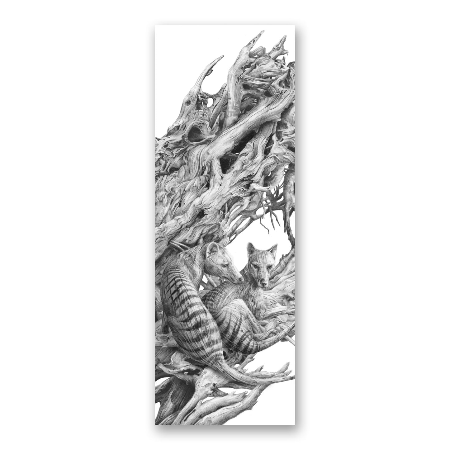 'Driftwood Thylacine' bookmark