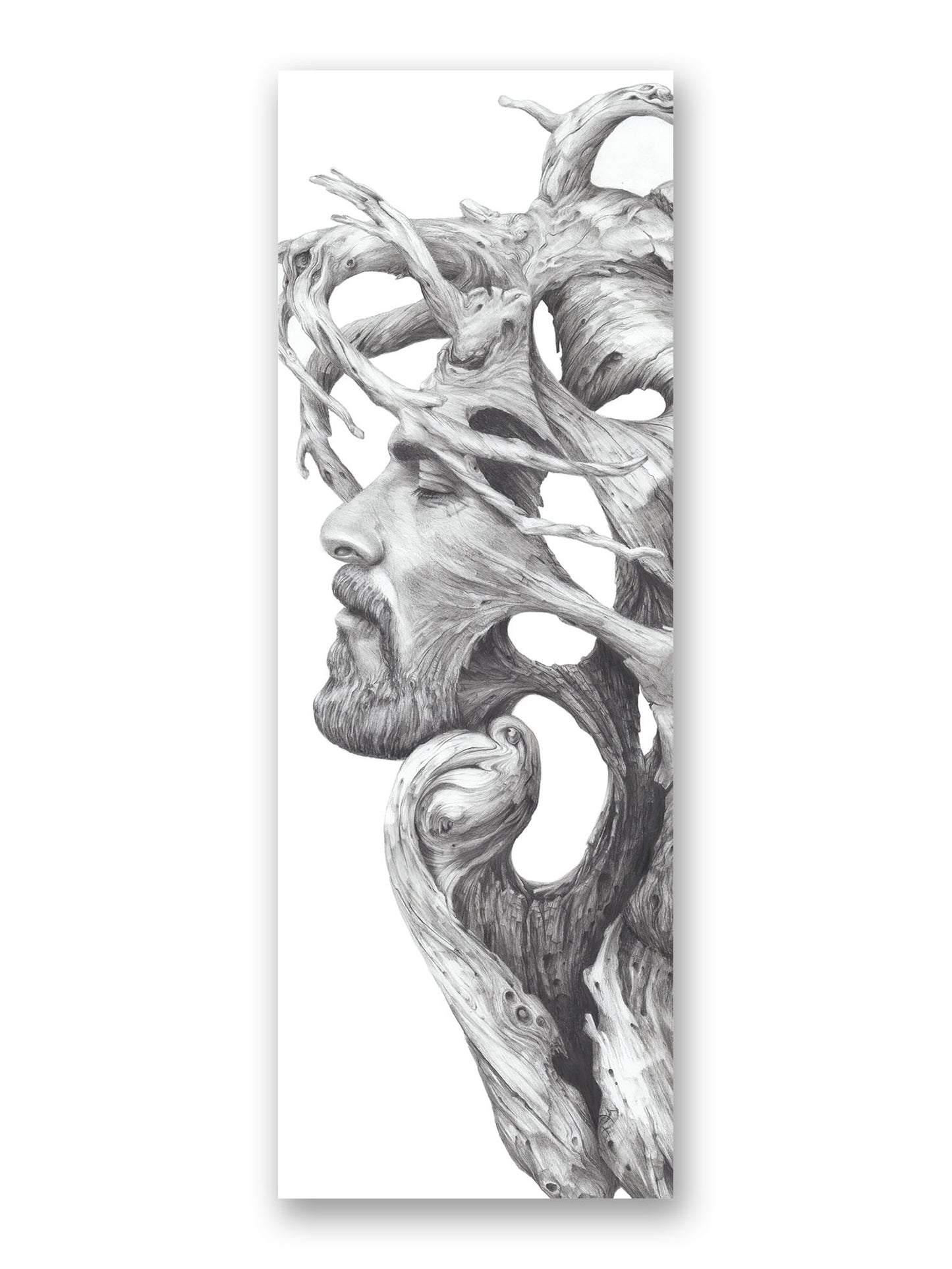'Janus' bookmark