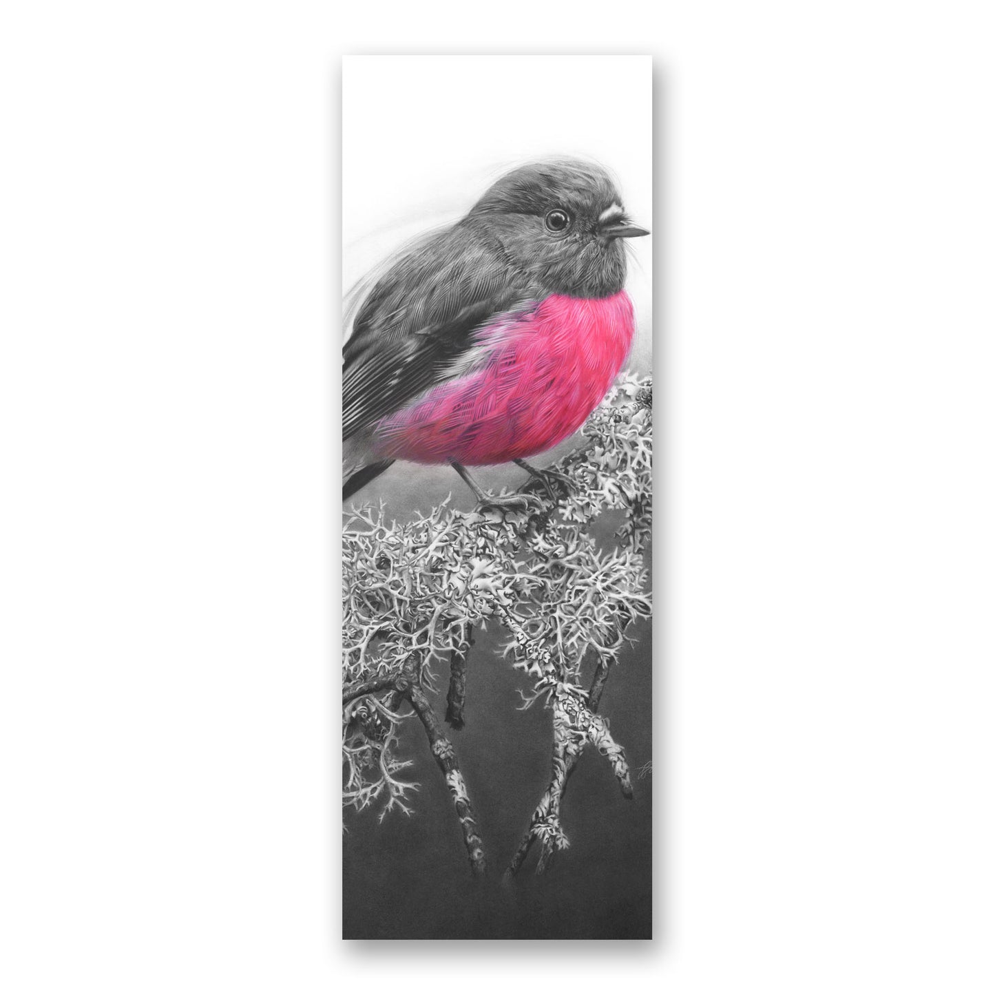 'Pink Robin' bookmark