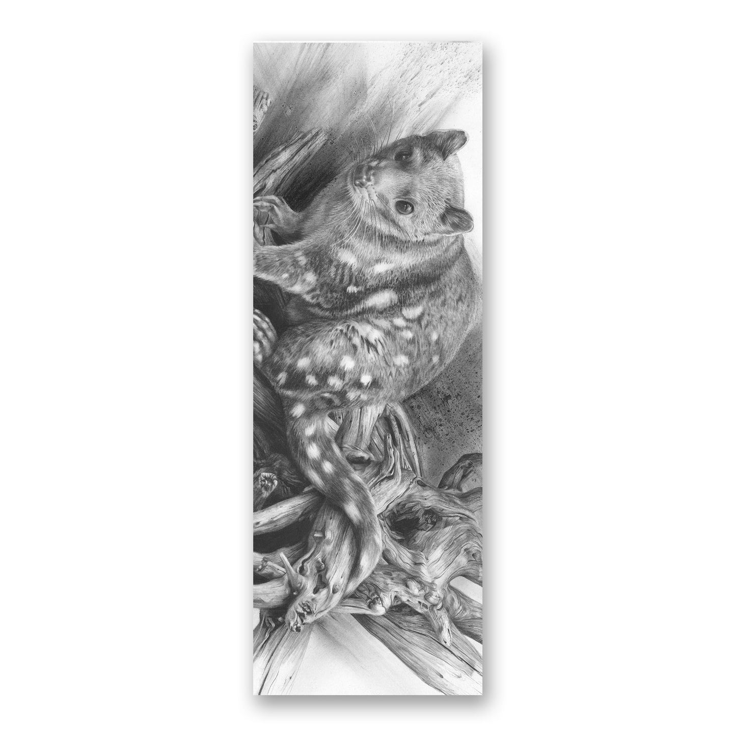 'Spotted Quoll' bookmark