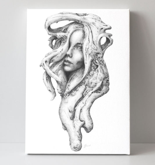 'Driftwood Souls 1' canvas print