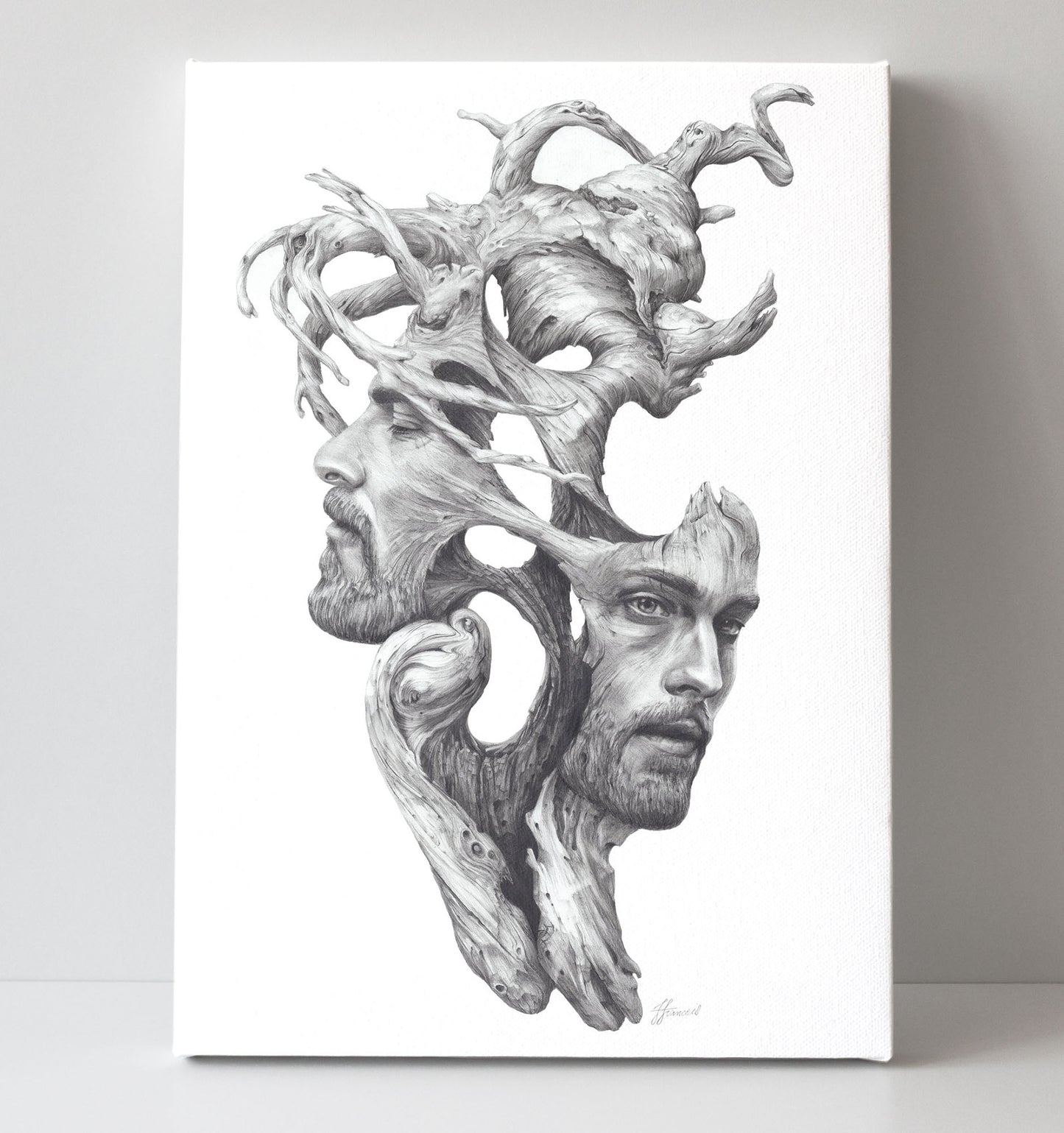 'Janus' canvas print
