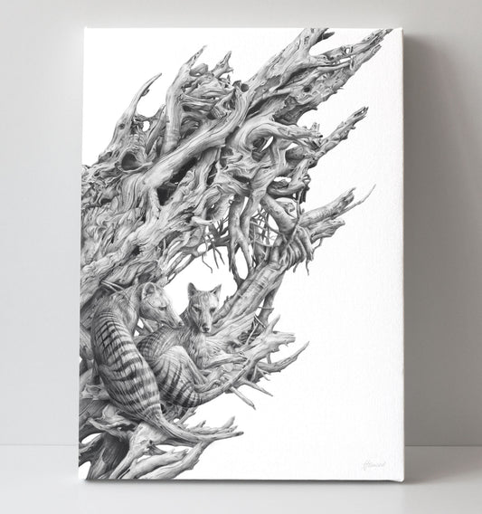 'Driftwood Thylacine' canvas print