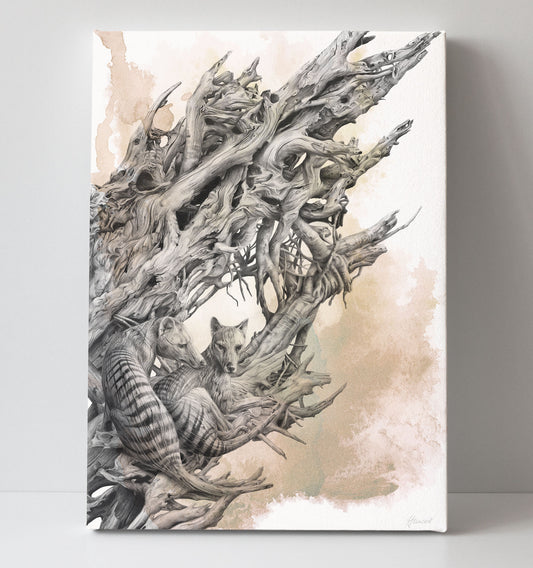 'Driftwood Thylacine' canvas print (with colour)