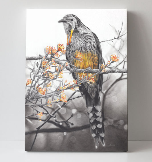 'Yellow Wattlebird' canvas print