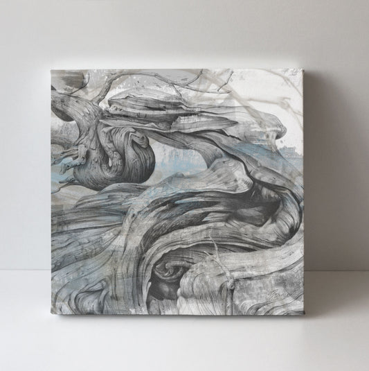 'Driftwood Study 1' canvas print
