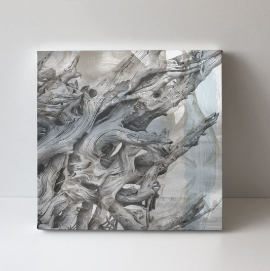 'Driftwood Study 2' canvas print