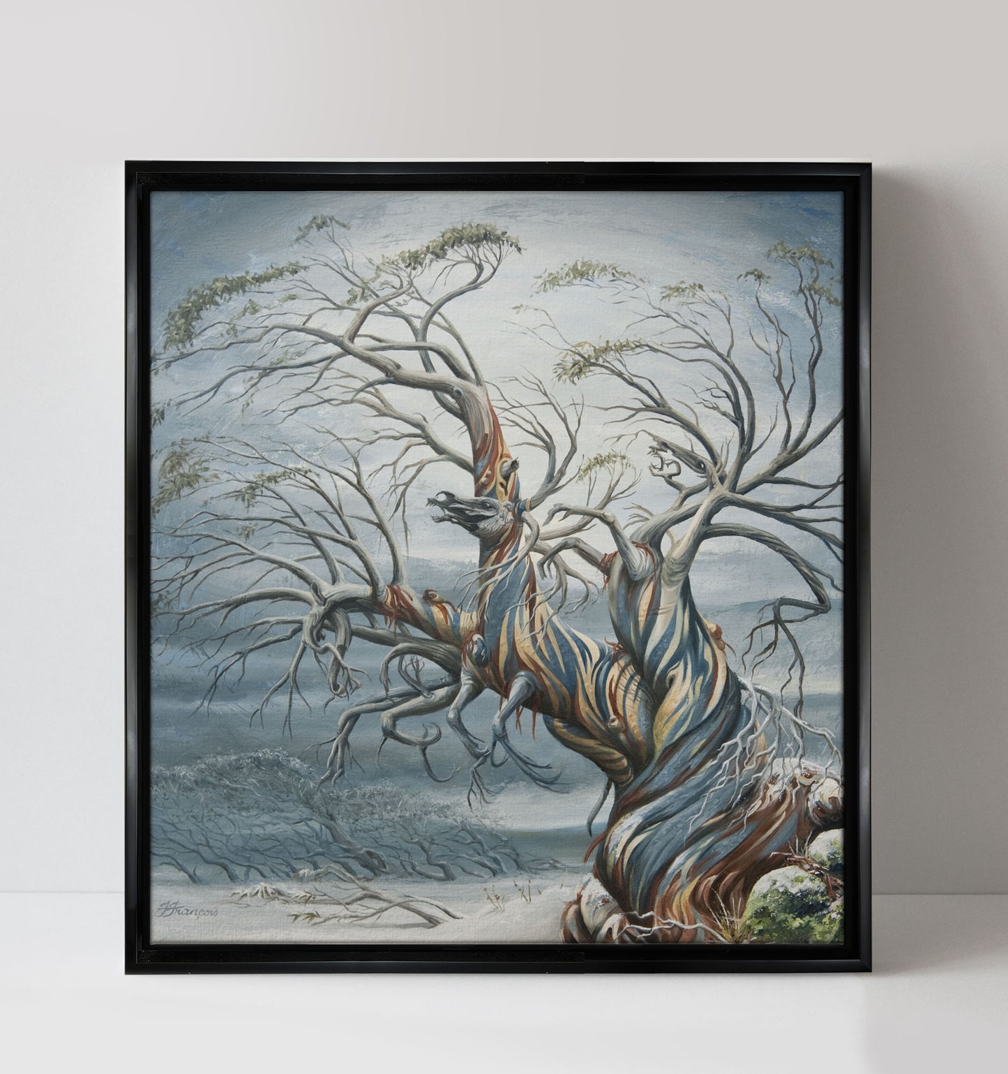 'Dead Horse Gap' canvas print