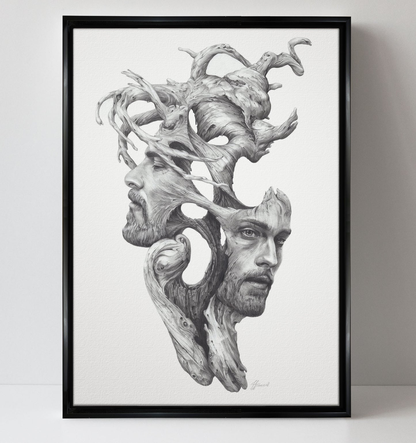 'Janus' canvas print