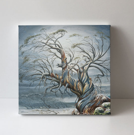 'Dead Horse Gap' canvas print