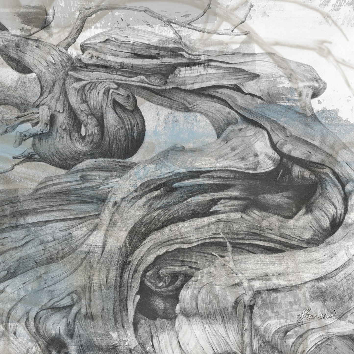 'Driftwood Study 1' canvas print