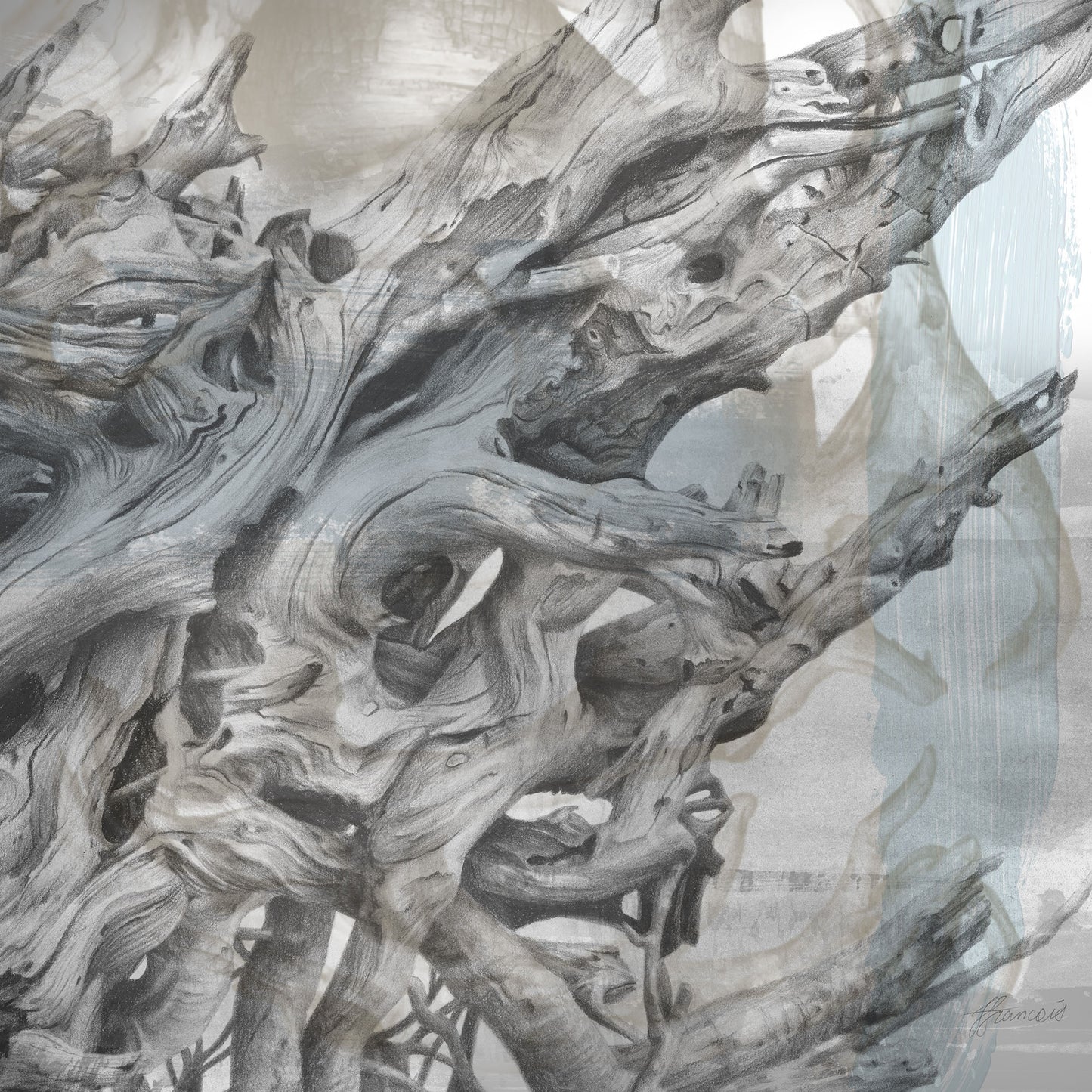 'Driftwood Study 2' canvas print