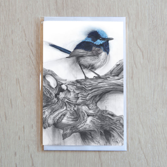 'Fairy Wren' greeting card