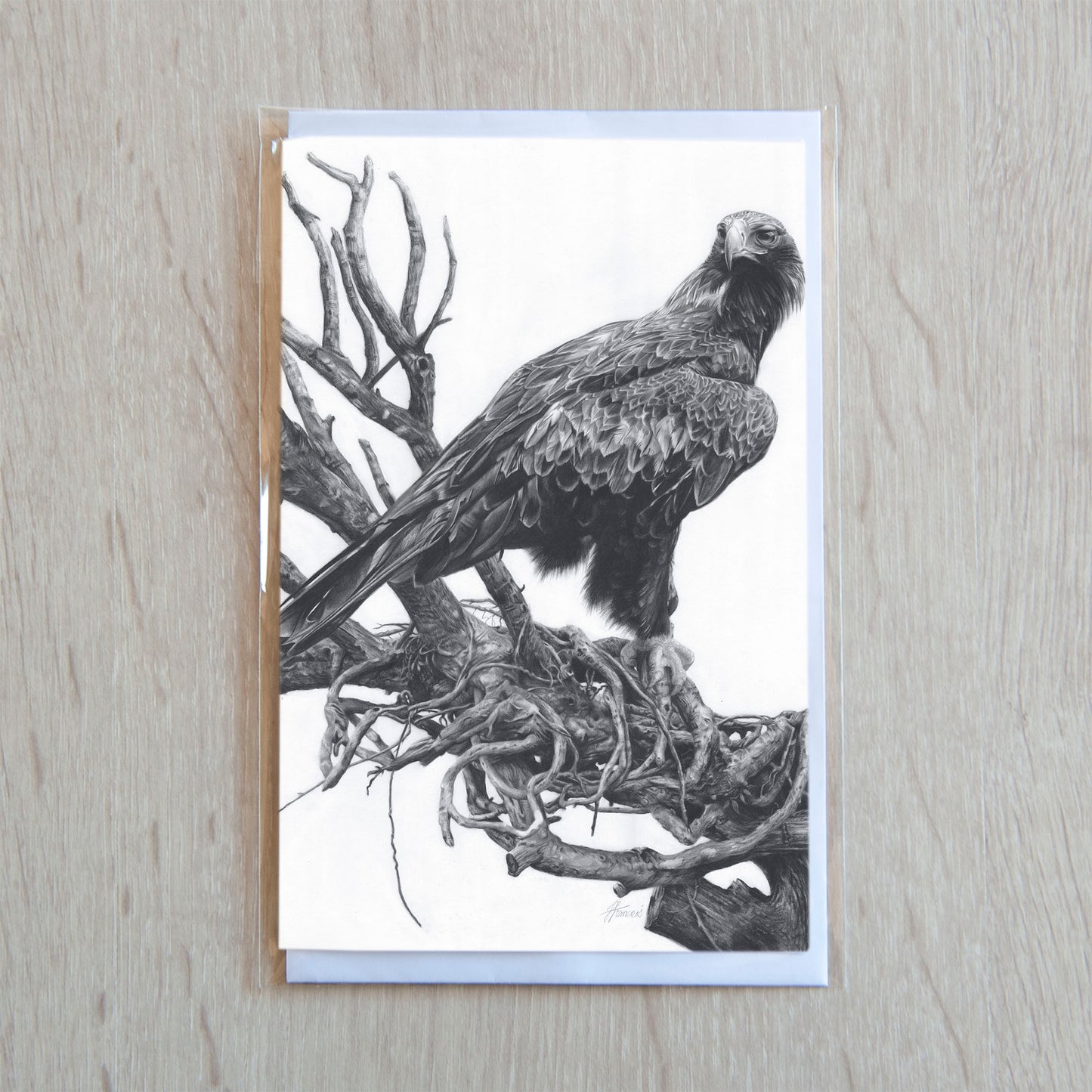 'Wedge-tailed Eagle' greeting card