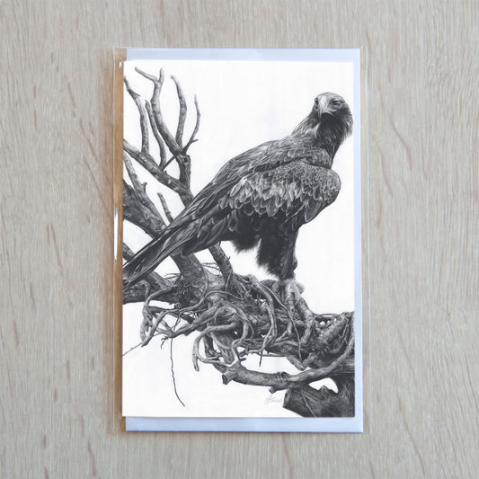 'Wedge-tailed Eagle' greeting card