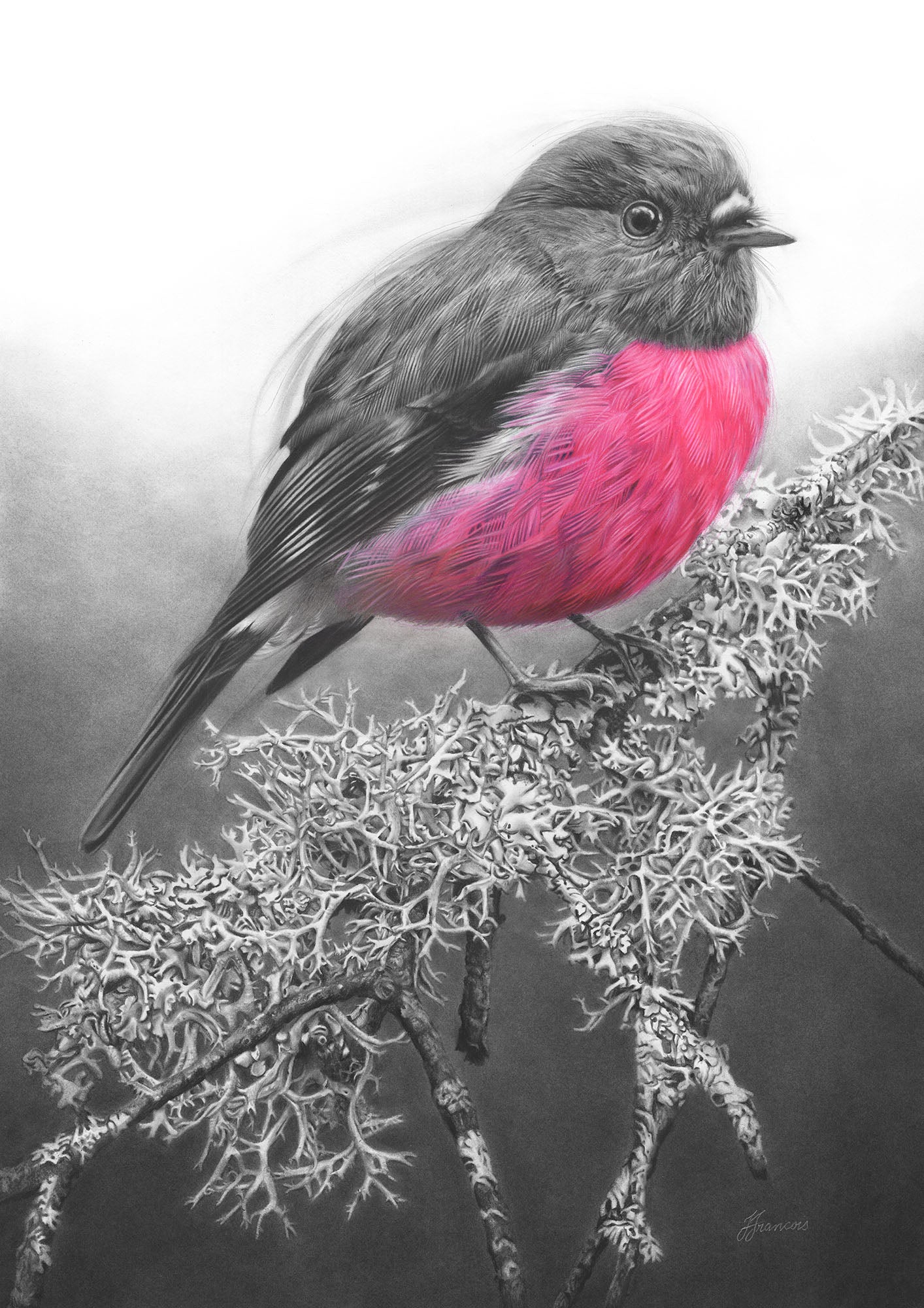 'Pink Robin' A5 art card