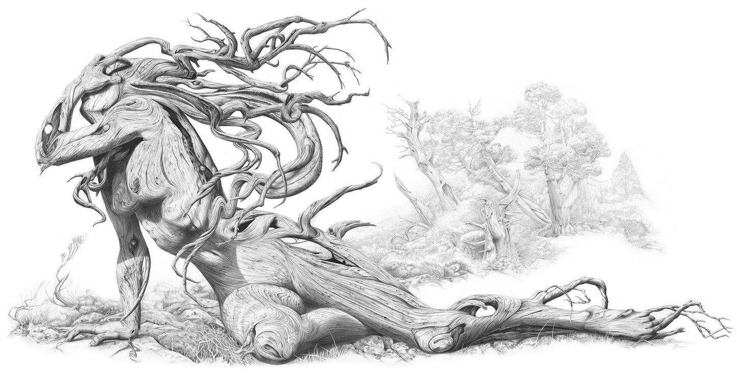 'The Fallen' canvas print