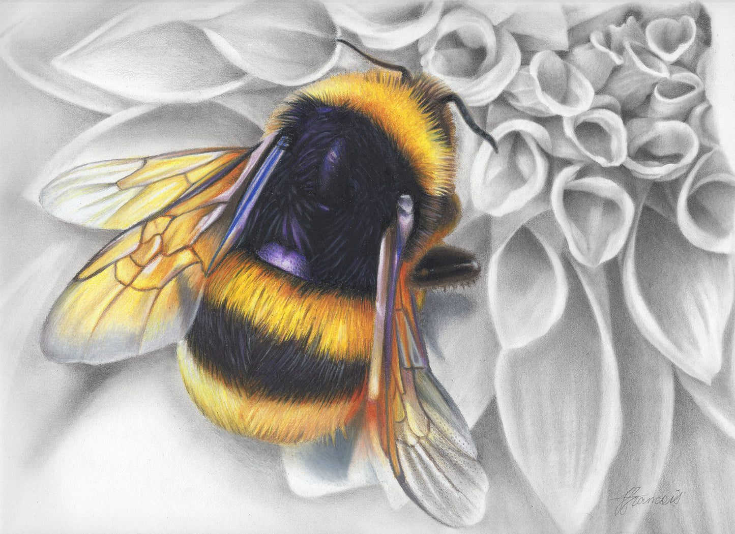 'Mumma Buzz' canvas print