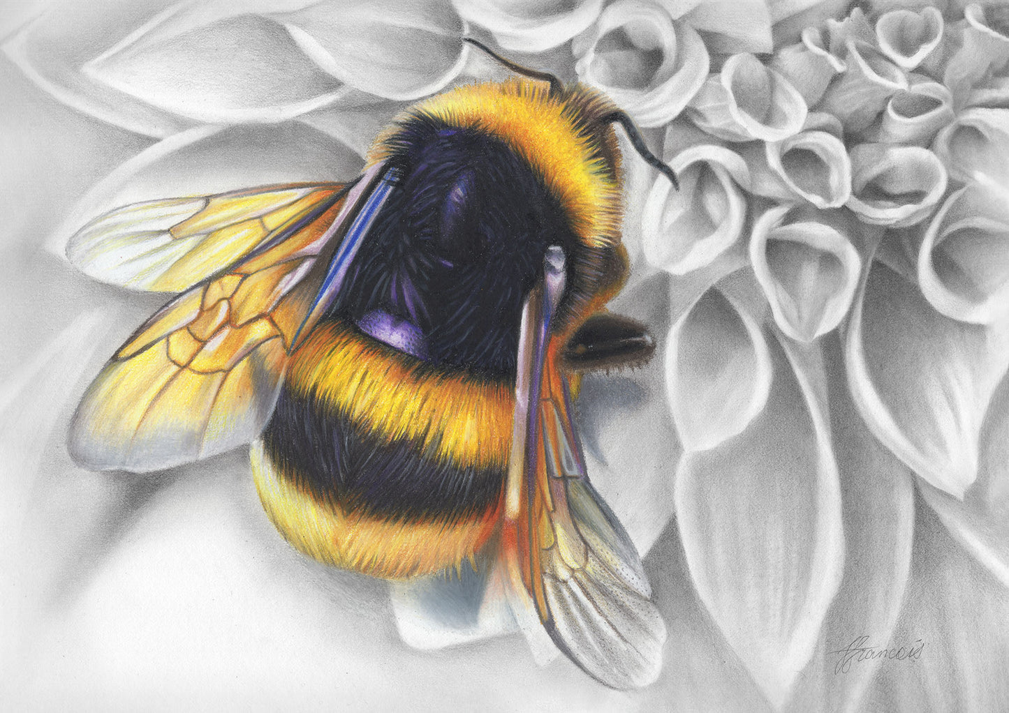 'Mumma Buzz' greeting card