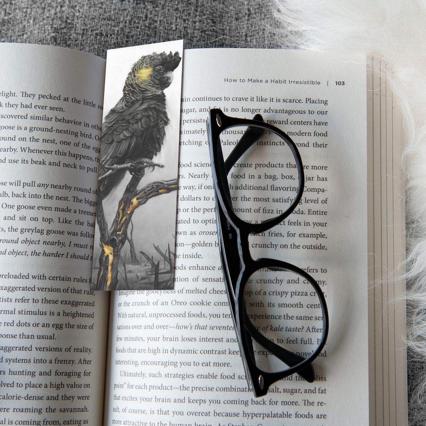 'Black Cockatoo' bookmark