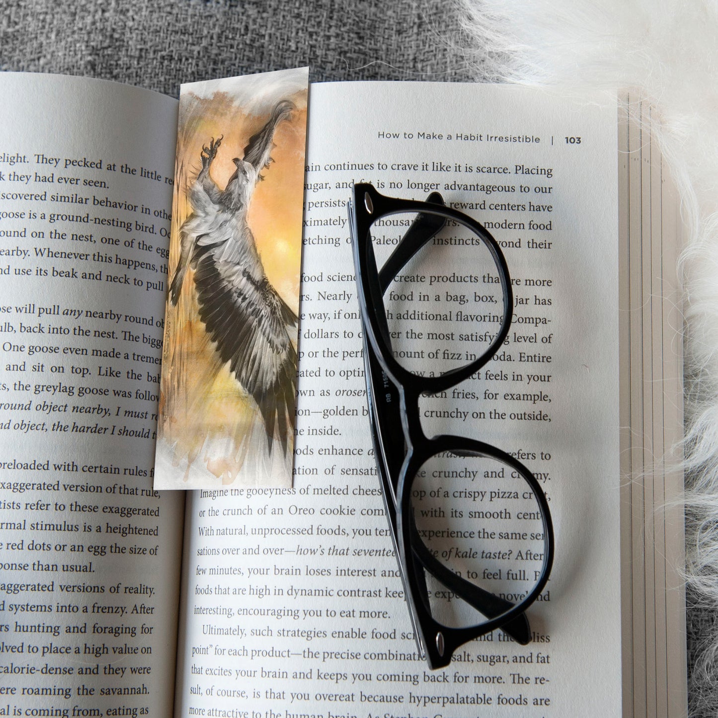 'White-bellied Sea Eagle' bookmark