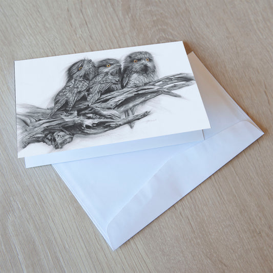 'Tawny Frogmouth Trio' greeting card