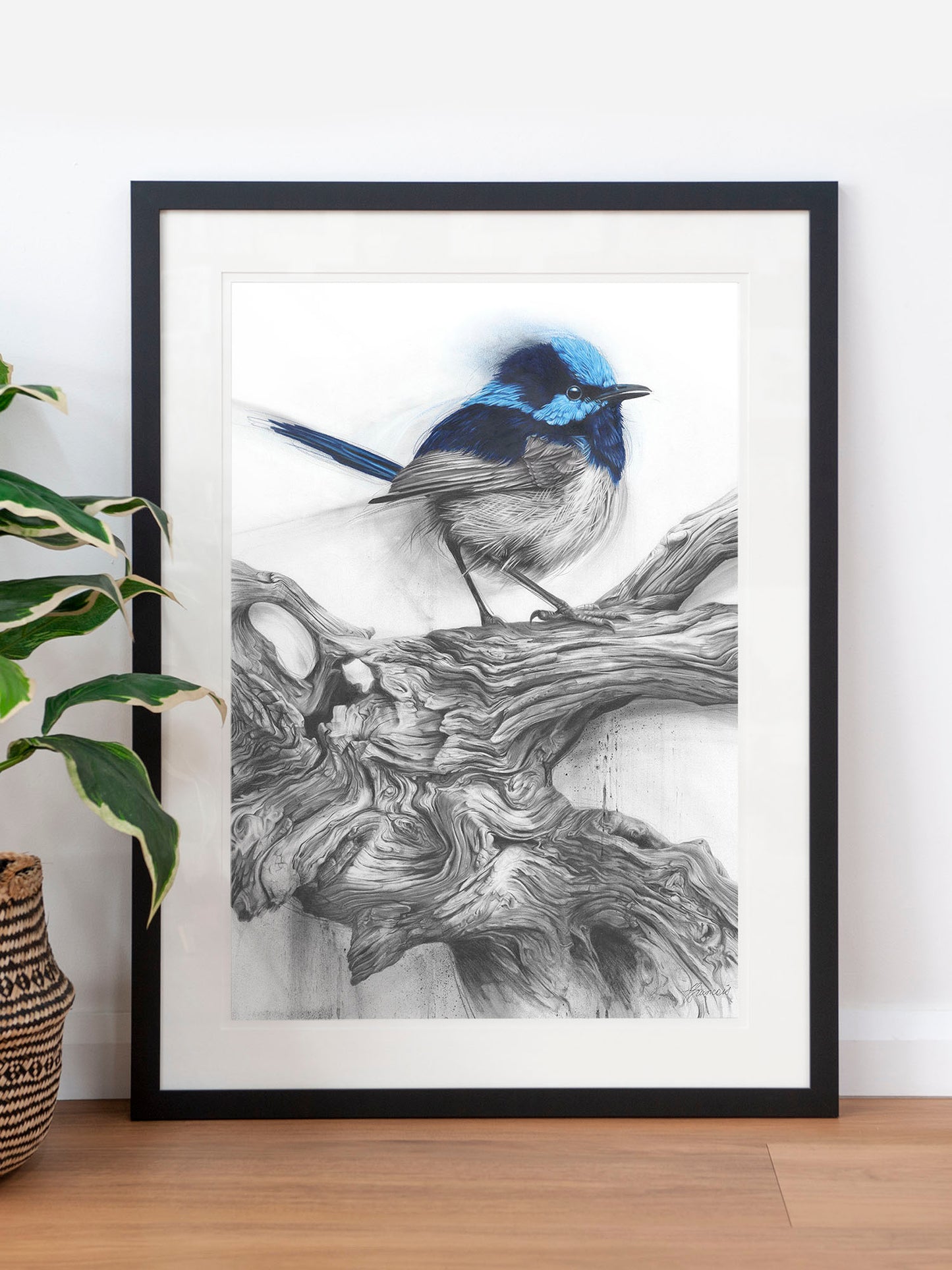 'Fairy Wren' art print