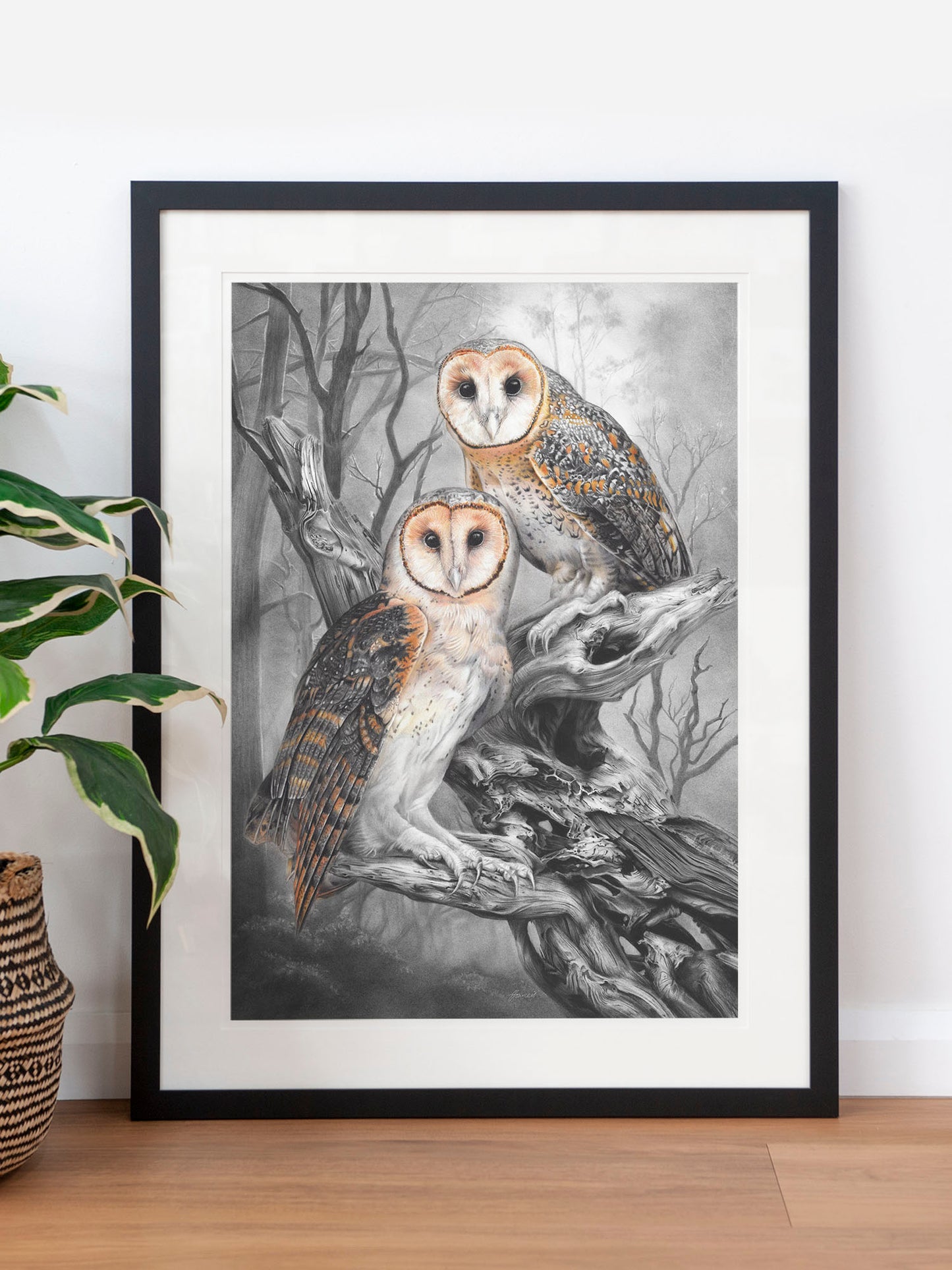 'Tasmanian Masked Owls' art print