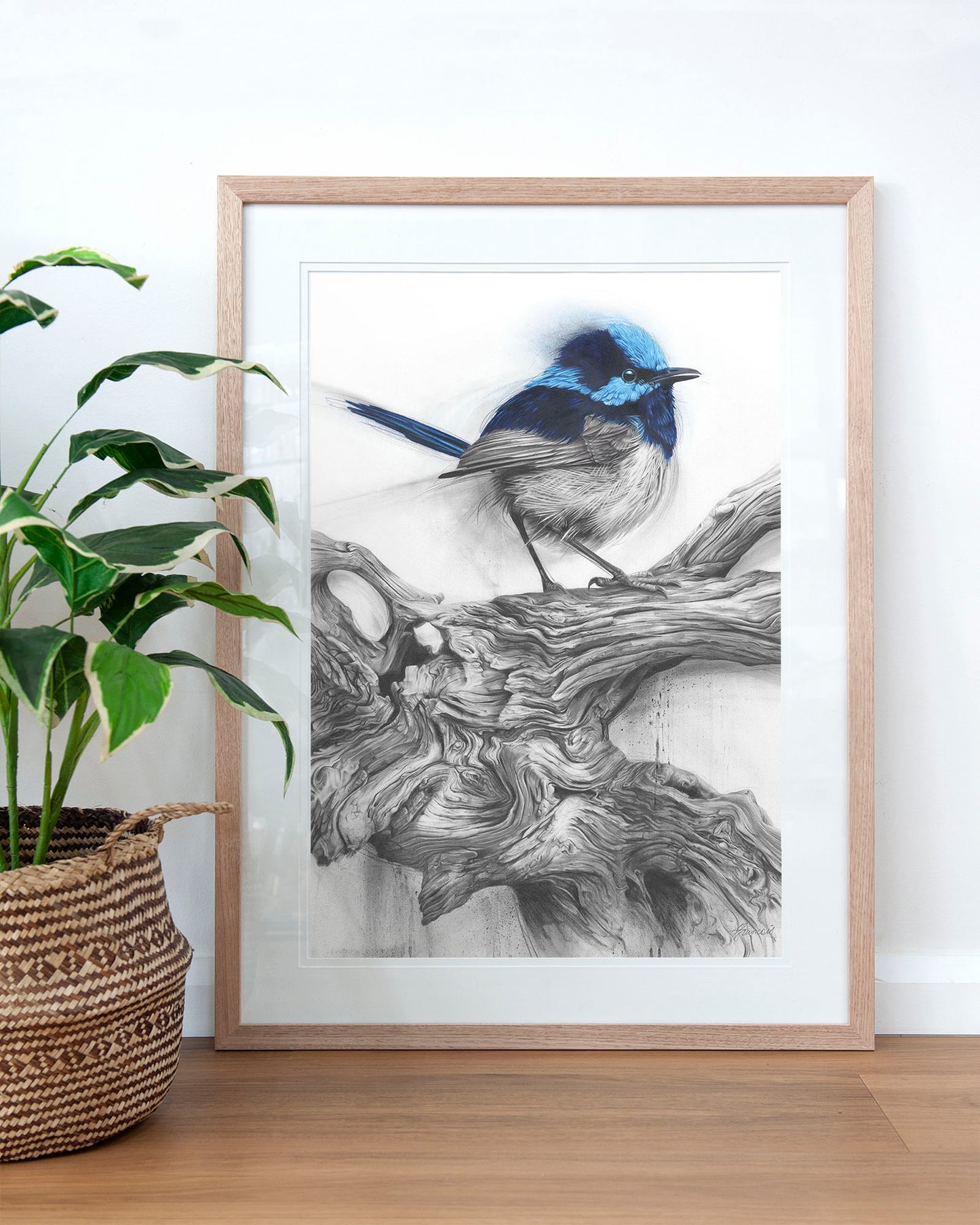 'Fairy Wren' art print