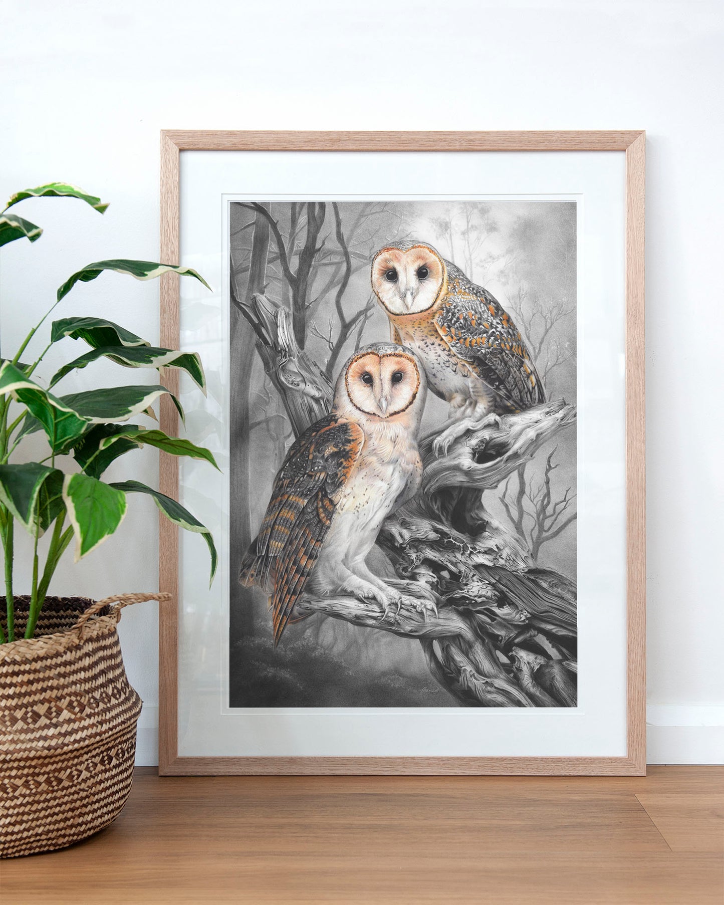 'Tasmanian Masked Owls' art print