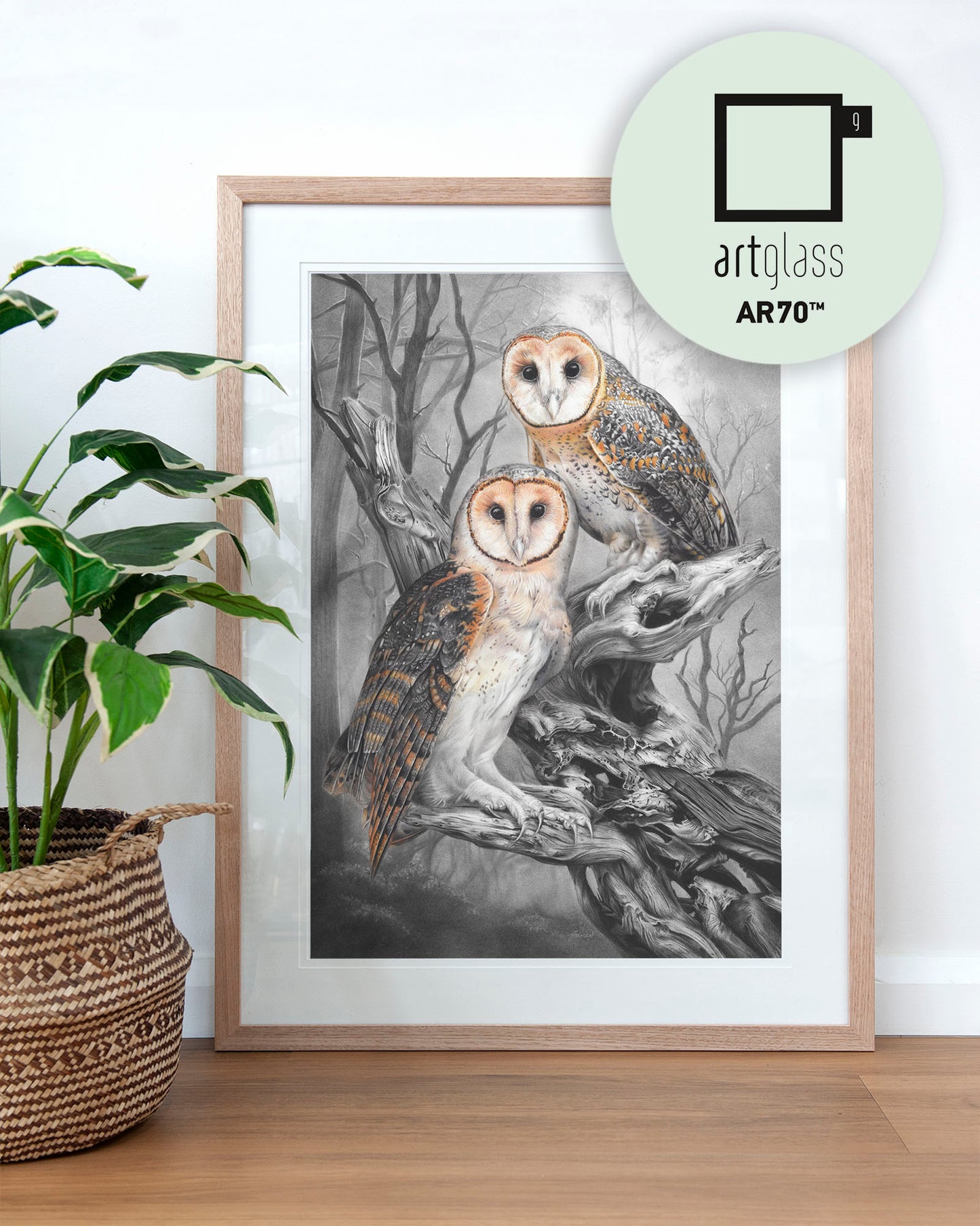 'Tasmanian Masked Owls' art print