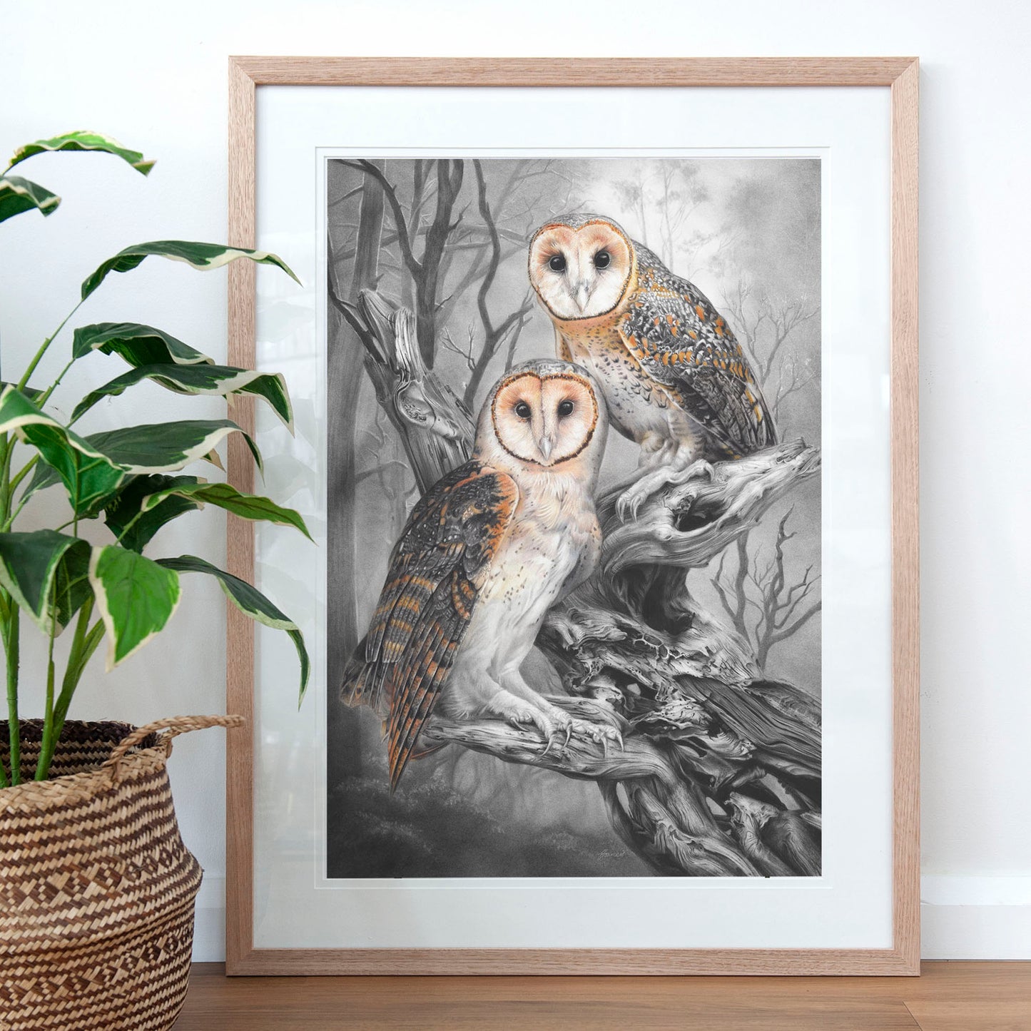 'Tasmanian Masked Owls' art print