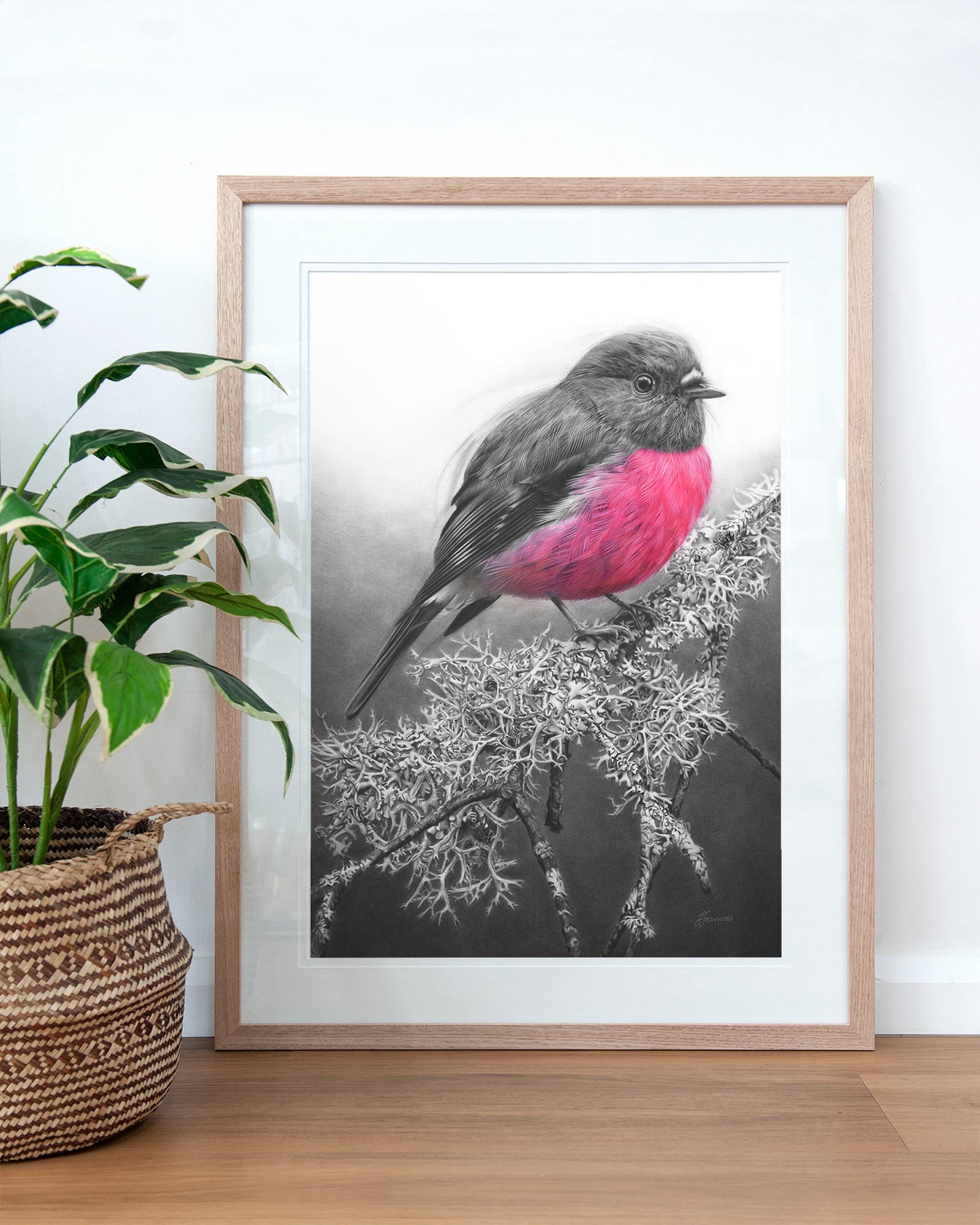 'Pink Robin' art print