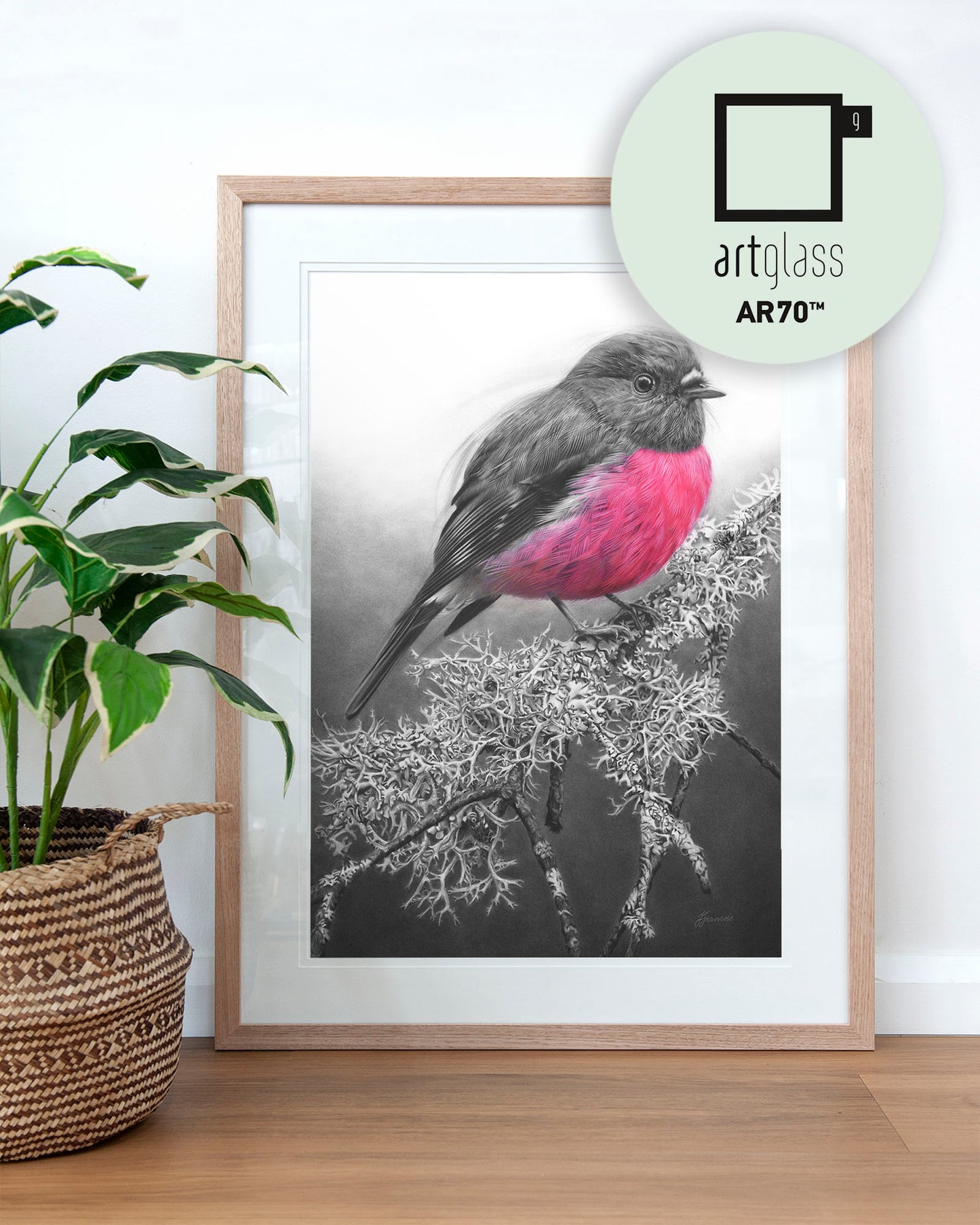 'Pink Robin' art print