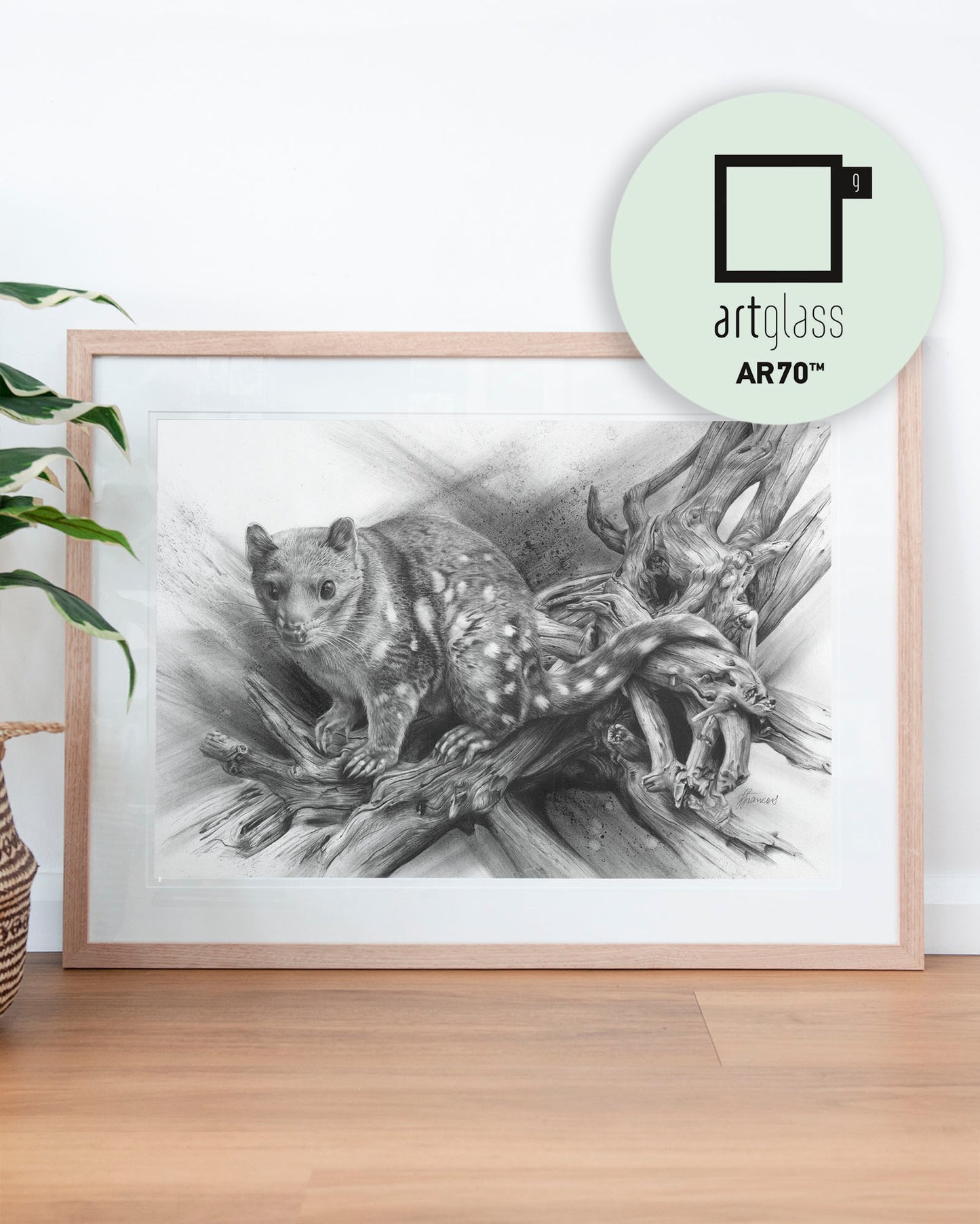 'Spotted Quoll' art print