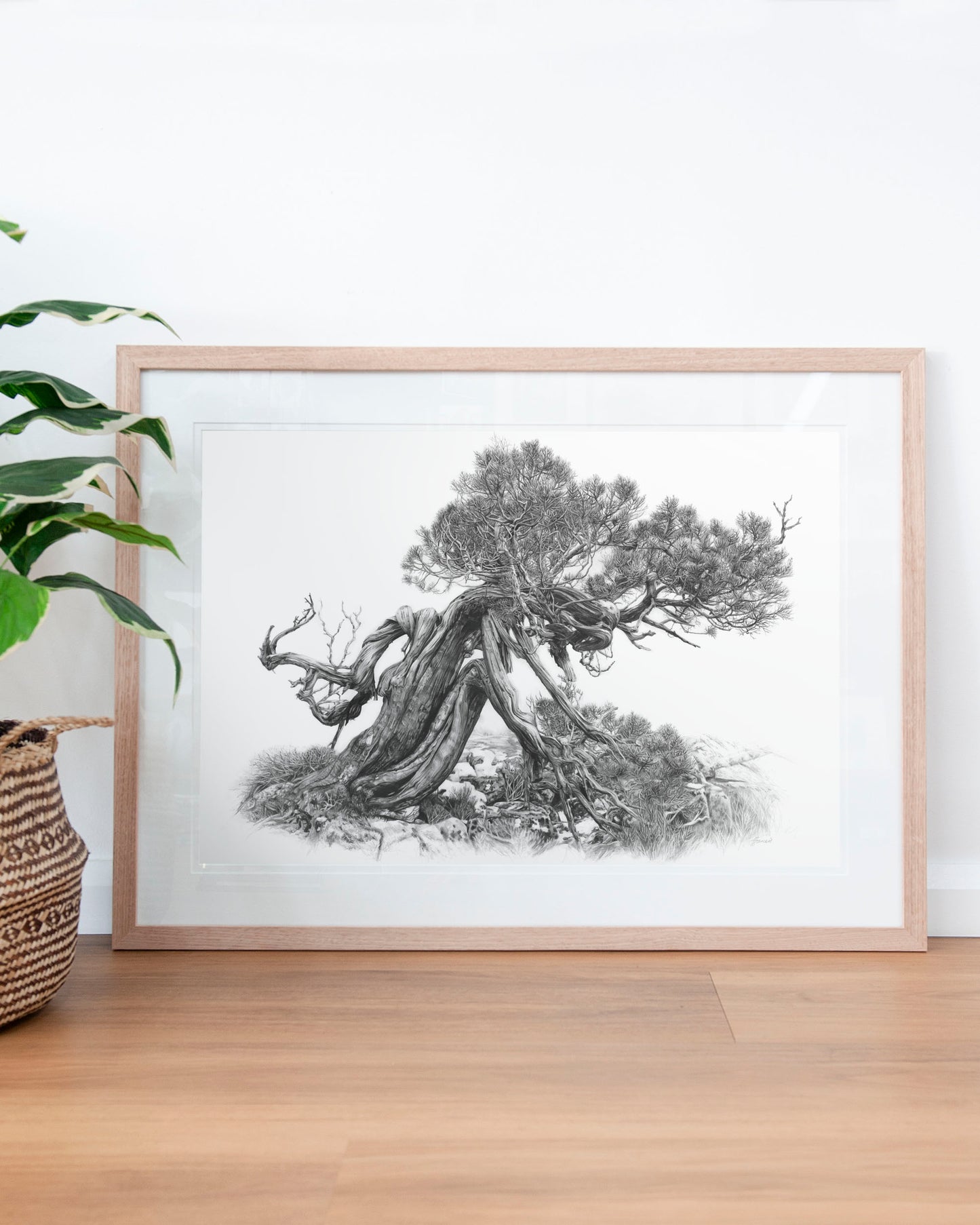 'Tree Elder 2' art print