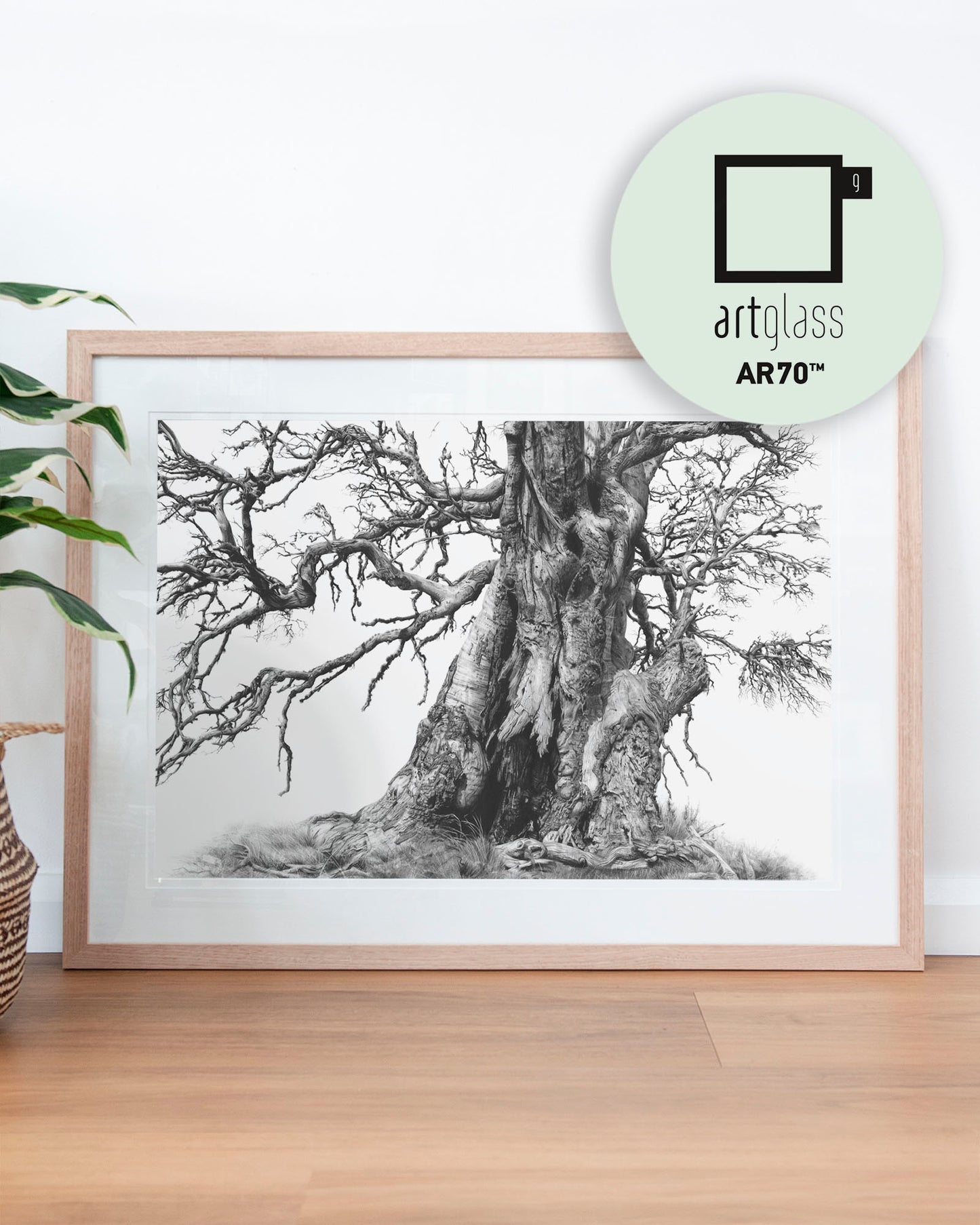 'Tree Elder 1' art print