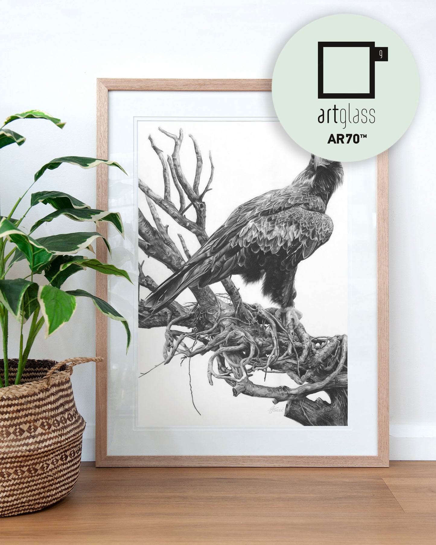 'Wedge-tailed Eagle' art print