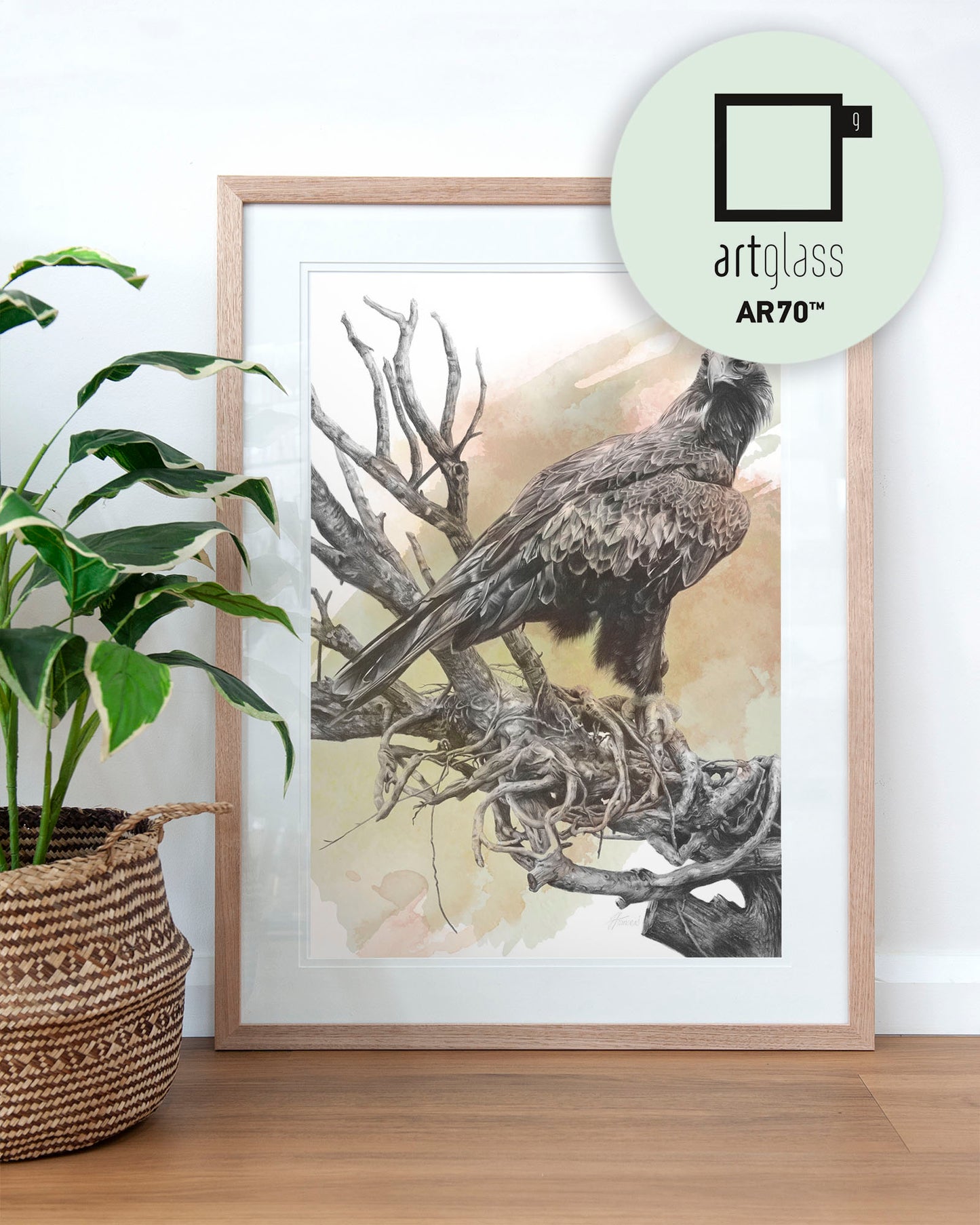 'Wedge-tailed Eagle Colour' art print